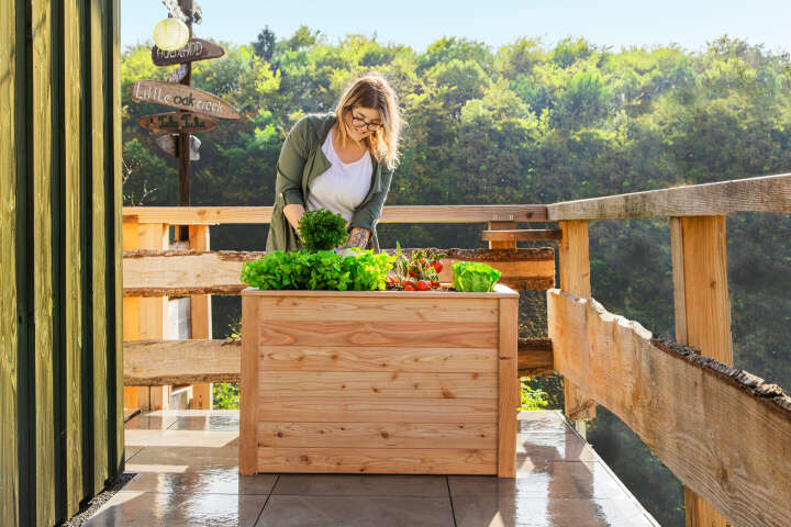 WESTMANN Hochbeet Klassik